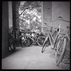 HIP_402301363.727115