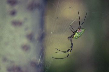 20131002-DSC00002