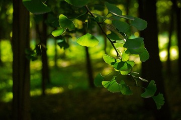 20131002-DSC00072-2