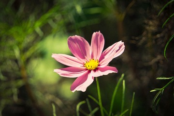 20131002-DSC00045