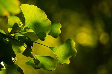 20131002-DSC00062