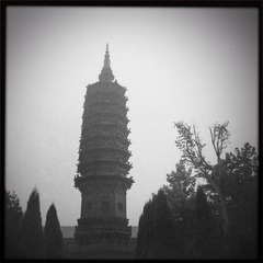 HIP_402630595.686585