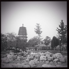 HIP_402570042.912479
