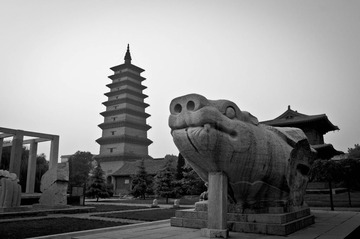 20131004-DSC00095-2