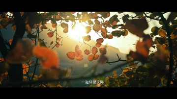 4 一起仰望天际