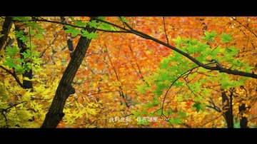 7 此时此刻，你在哪里……