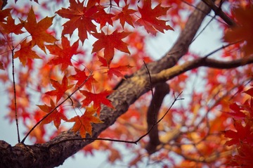 20131026-DSC00041