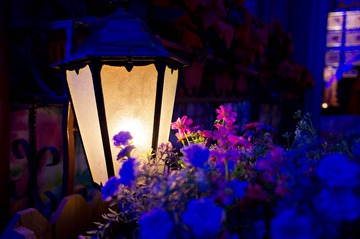 20131221-DSC00011
