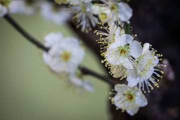 20140121-DSC00027