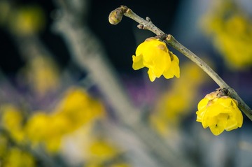 20140121-DSC00039