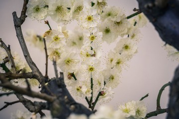20140121-DSC00049