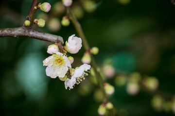 20140121-DSC00115