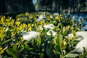 20140209-DSC00027