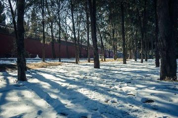 20140209-DSC00029