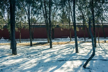 20140209-DSC00033