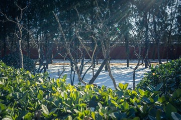 20140209-DSC00035