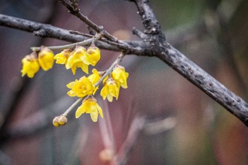 20140215-DSC00053