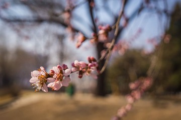 20140315-DSC00016