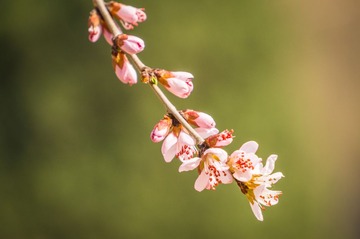 20140315-DSC00007
