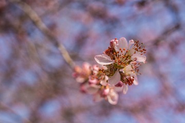 20140315-DSC00021