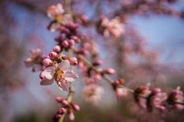 20140315-DSC00022