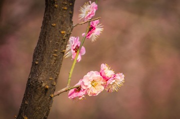20140316-DSC00039