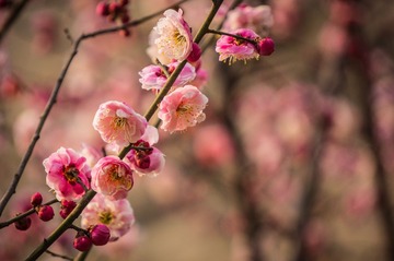 20140316-DSC00048