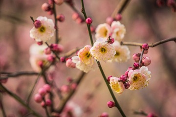 20140316-DSC00065