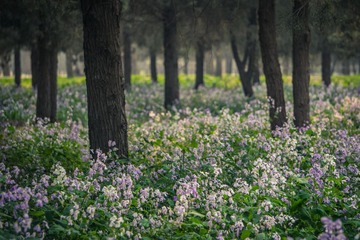 20140413-DSC00007