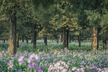 20140413-DSC00017