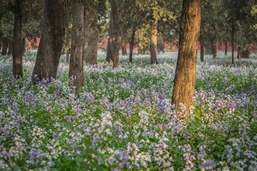20140413-DSC00032