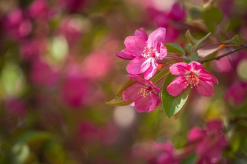 20140405-DSC00037