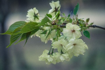 20140604-DSC00058