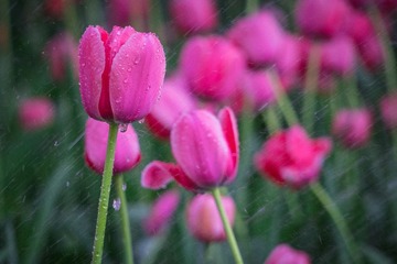20140409-DSC00007