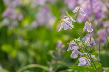 20140412-DSC00014