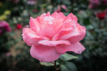 20140517-DSC00094