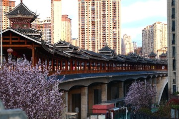 P1035172