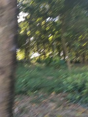 1000046939
