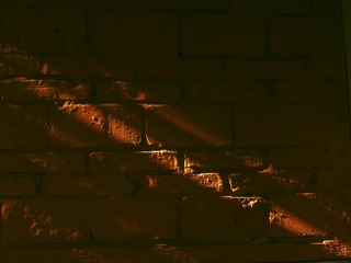 1000084494