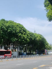 IMG20240515102405