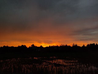1000061859