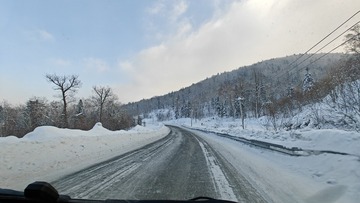 1000016951