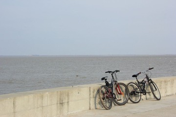 IMG_3392.JPG