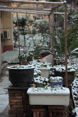 IMG_4002.JPG