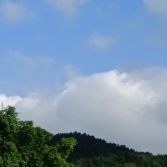 3941587