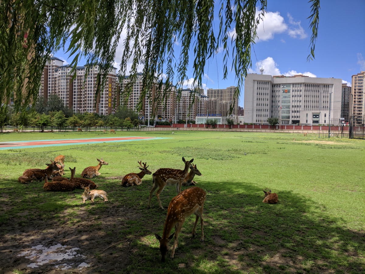 内蒙古科技大学 - kazuohirai - 图虫网 - 优质摄影师交流社区
