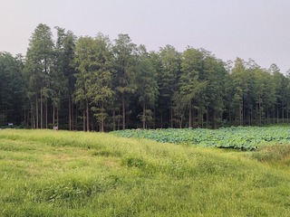 1000061730