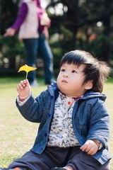 _D300733.jpg