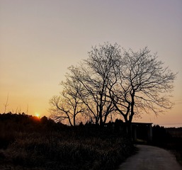 120043
