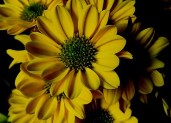 121004